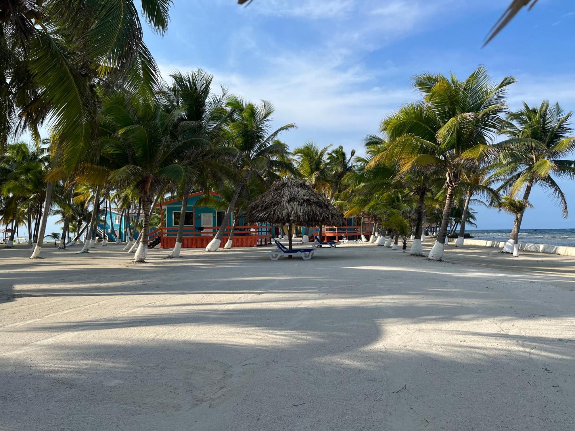 Blue Marlin Beach Resort Dangriga Exterior foto