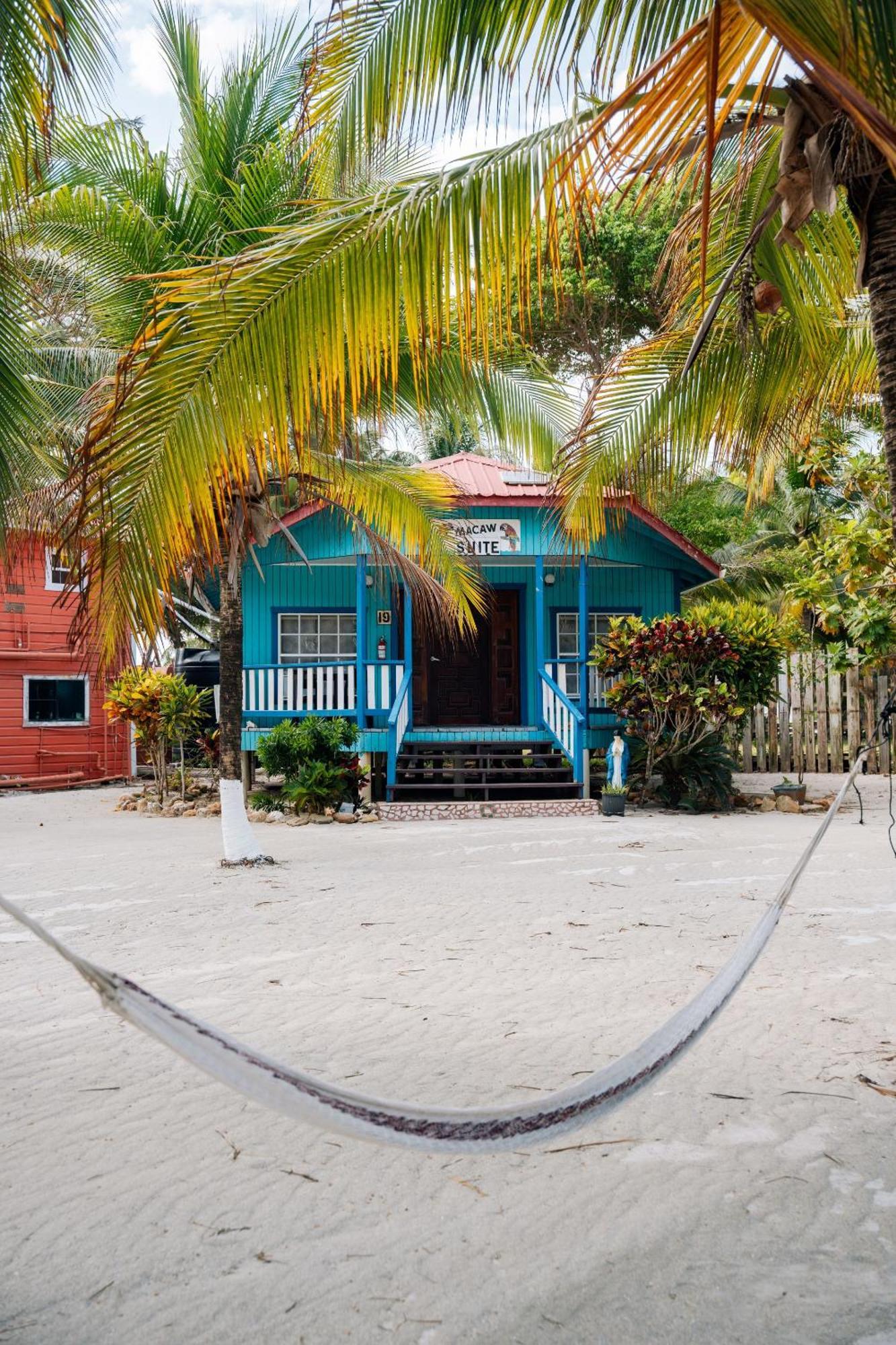 Blue Marlin Beach Resort Dangriga Exterior foto